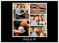 12-2014: ANDY & ALI'S ENGAGEMENT PHOTOS