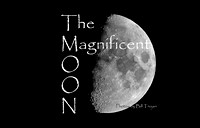 01102021: THE MAGNIFICENT MOON PHOTOS